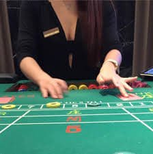 tngo66